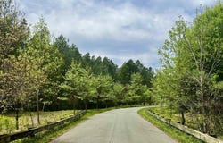 COOPERS LN lot: H, CHARLOTTESVILLE, VA 22902