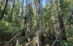 Gary Drive, Byram, MS 39272