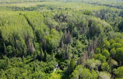 74035 County Highway A, Iron River, WI 54847