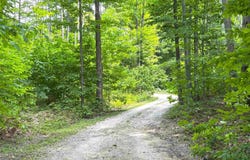 9031 NE County Road 612, Kalkaska, MI 49646