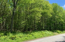 Old Newburg Turnpike, Union Dale, PA 18470
