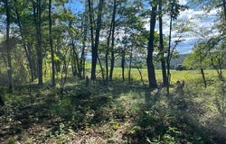 Parcel 178.01 WINDFIELD DRIVE, Williamsport, PA 17701