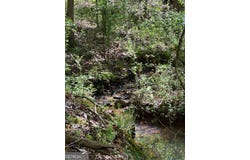2 Ac E Angela Drive, Lagrange, GA 30240