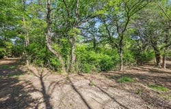 1425 Fm 1830, Argyle, TX 76226