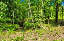 242 County Road 240, Jasper, TX 75951