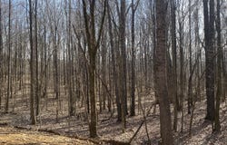 Brownsferry Rd, Sarah, MS 38665