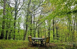 150 Margo Trail, Boone, NC 28607