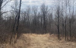 On CTH O, Catawba, WI 54515