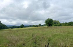Danville, AR 72833