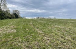 Tract 9 Webster Road, Campbellsville, KY 42718