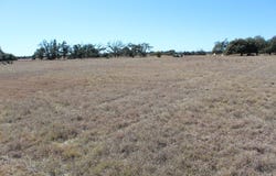 184 Lipan Loop, Harper, TX 78631