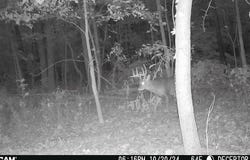 7000 Combs Road, Jerome, MI 49249
