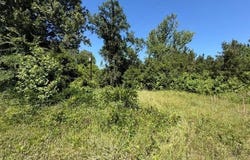 1153 CR 342, Henderson, TX 75654