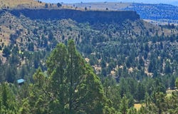 Wiley Creek Rd, Dayville, OR 97825