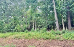 TBD County Road 2650, Shelbyville, TX 75973