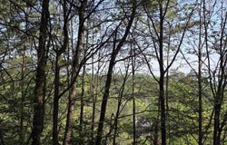 0 Rosen Strasse, Helen, GA 30545