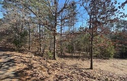5 Resplandor Court, Hot Springs Village, AR 71909
