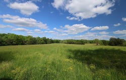 420 Stanley Syra Road, Edmonton, KY 42129