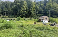 1668 Dry Branch Rd, Belle, WV 25061