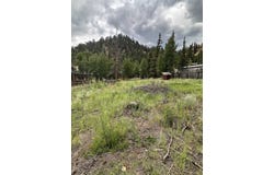 328 Bitter Creek Rd, Red River, NM 87558