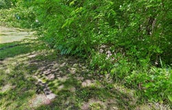 828 SE 601 Road, Leeton, MO 64761