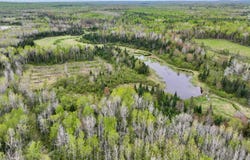 17858  Amber Lake Rd, Bruce Crossing, MI 49912
