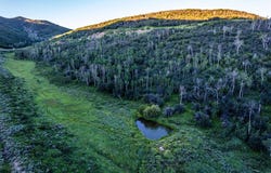 32771, Hayden, CO 81639