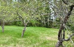191 Route 191 N Route, Cathance Twp, ME 04630