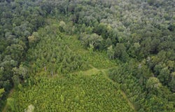 39 Henry Lee Ln., Foxworth, MS 39483
