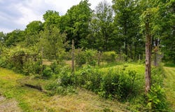 345 Metzger, Red Hook, NY 12571