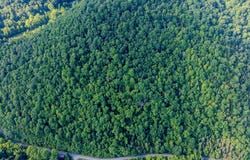 Tbd Dry Fork Road, Cedar Bluff, VA 24609