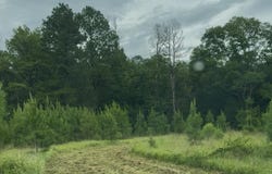 Us-51, Crystal Springs, MS 39059