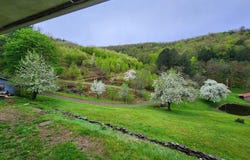 286 Hidden Hollow Farm Drive, Austin, PA 16720