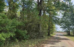 Hwy 87, Jay, FL 32565