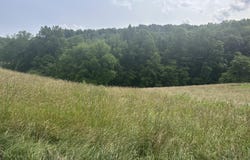 Nursey Rd, Rose Hill, VA 24281