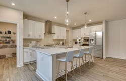 440 Rainbow Shad Way, Lexington, SC 29072