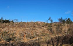 Excelsior School Rd lot: 0, Laurel Fork, VA 24352