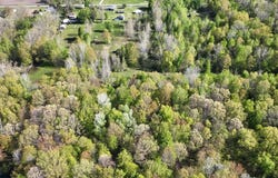 1546 E Birch Run Road, Burt, MI 48417
