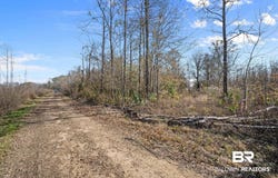 Bryants Landing Road, Stockton, AL 36579