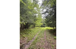 39 Birch Lane, Swan Lake, NY 12783