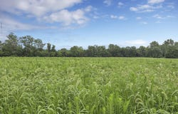0 Smaller Road, Johnstown, OH 43031