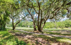 Lot 6 Sutherland Bluff Drive, Townsend, GA 31331