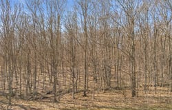 L9.114 Lutheranville Rd, Summit, NY 12064
