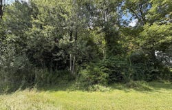 Ny 22, Hillsdale, NY 12529