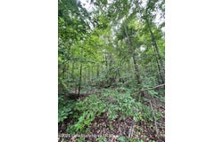 3160 Holley Mill Rd, Eclectic, AL 36024