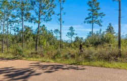 2 Pilgrim Rest Road, DeQuincy, LA 70633