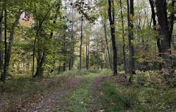 Off East Shore Road, Marenisco, MI 49947