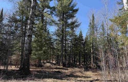 115 Marks Rd, Esko, MN 55733