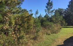 BONNIE Lane lot: 3, Covington, LA 70433