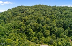 94 Swan Song Tr, Sharps Chapel, TN 37866